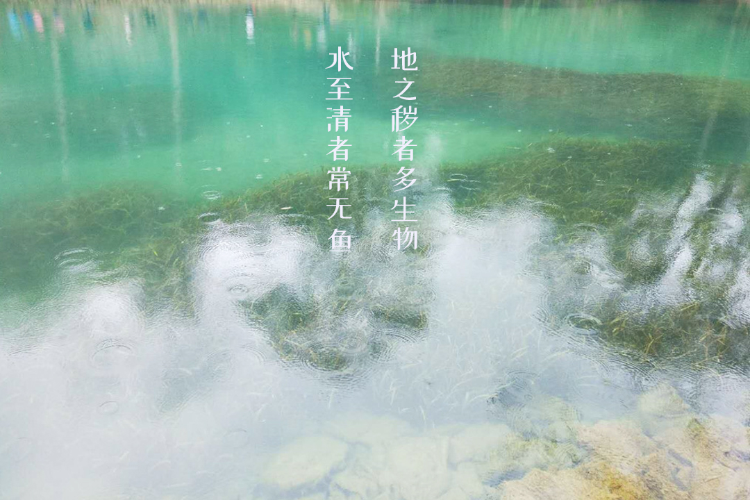 大师说·《菜根谭》15条处世箴言，完美诠释了什么叫人生智慧