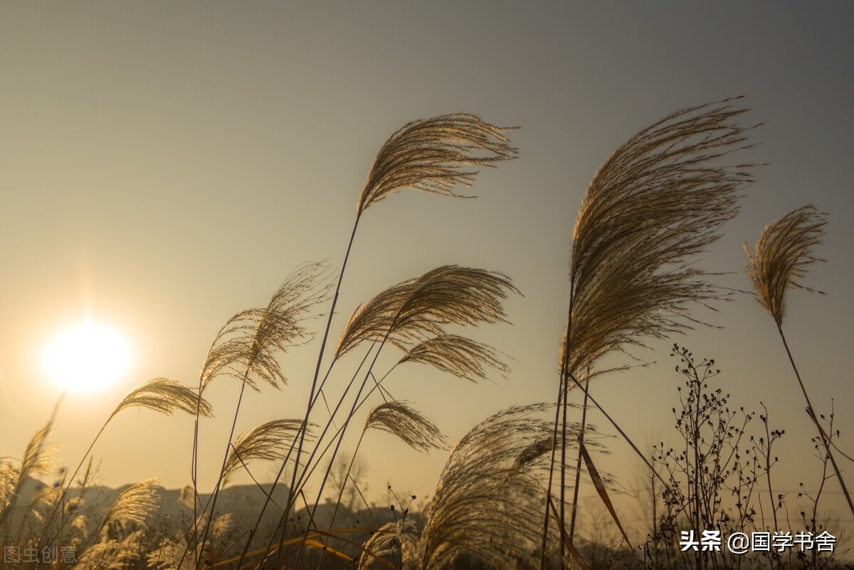 《菜根谭》：世法不必尽尝，一智便知万事