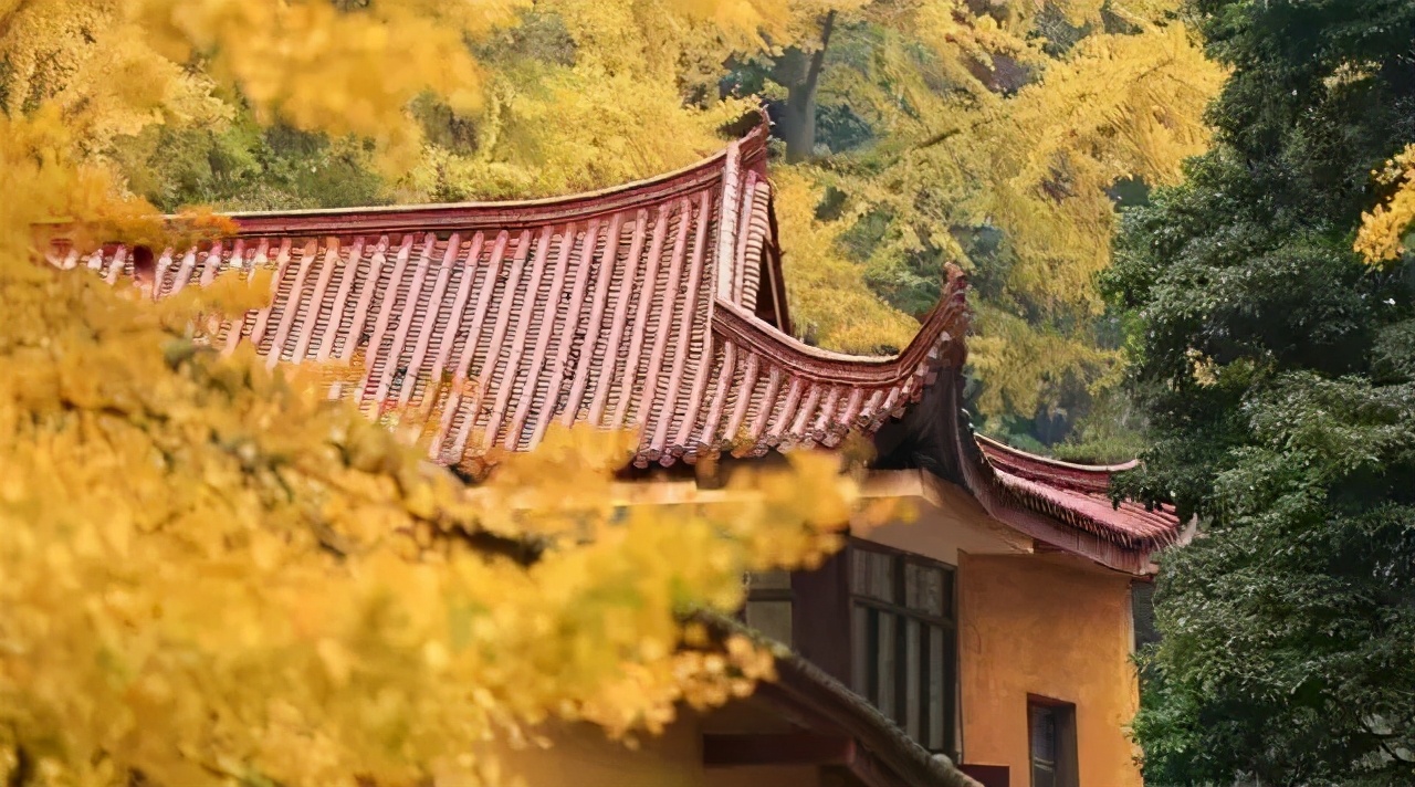 大师说·《菜根谭》15条处世箴言，完美诠释了什么叫人生智慧