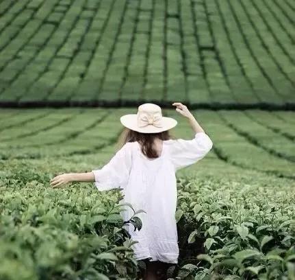 超级催泪的虐心短句，伤感悲凉，边看边哭