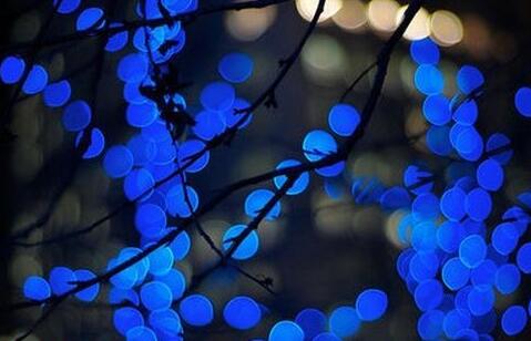 道不同不相为谋的真正含义