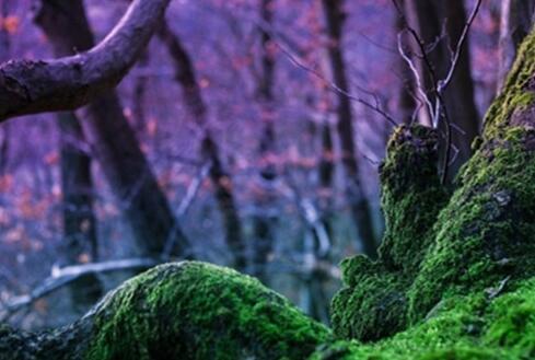 道不同不相为谋的真正含义