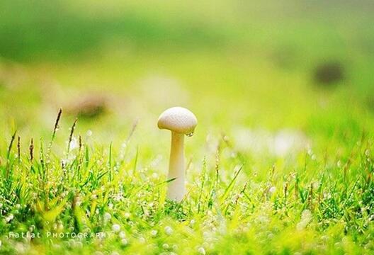 道不同不相为谋的真正含义