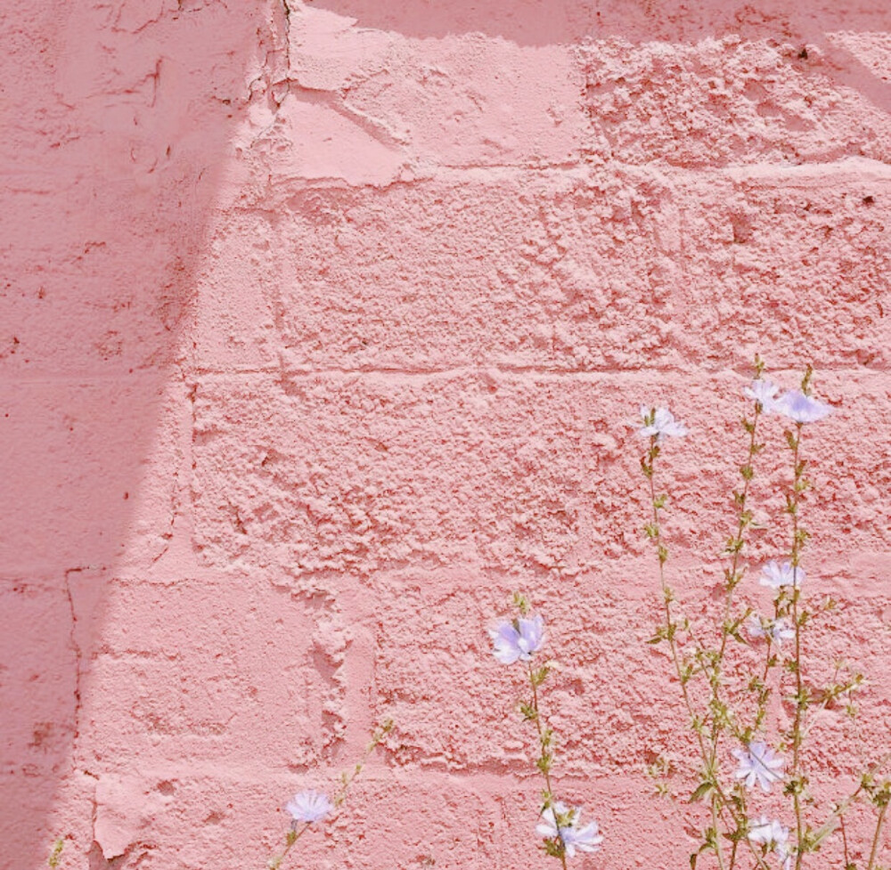 有哪些文艺到爆炸的句子？