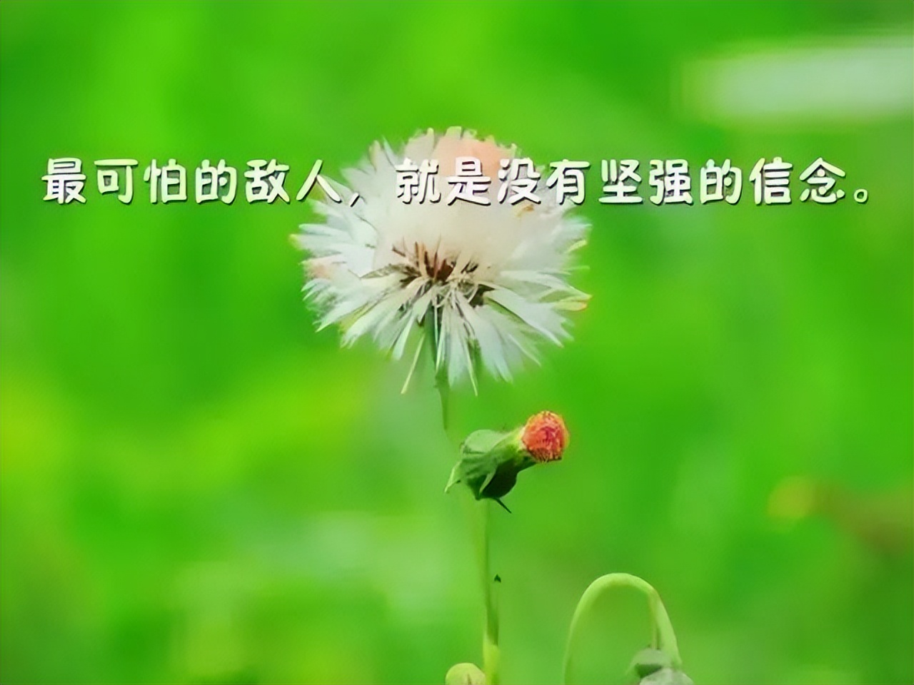 让人热血沸腾的励志句子，总有一句让你燃起对生活的希望