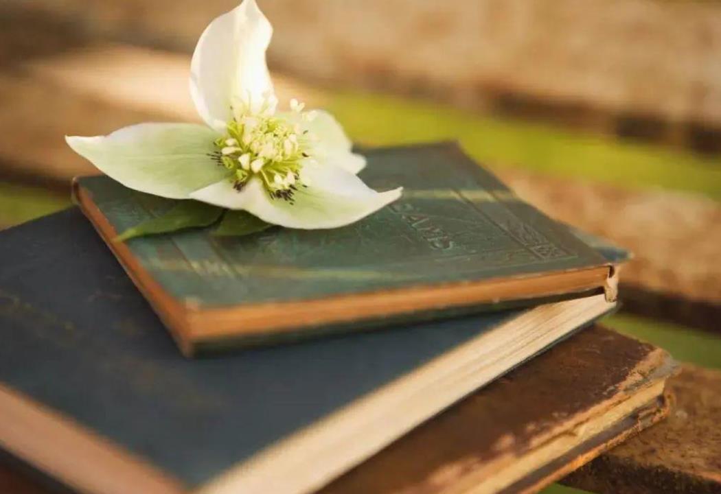 读书的好处优美句子，激励孩子多读书的句子