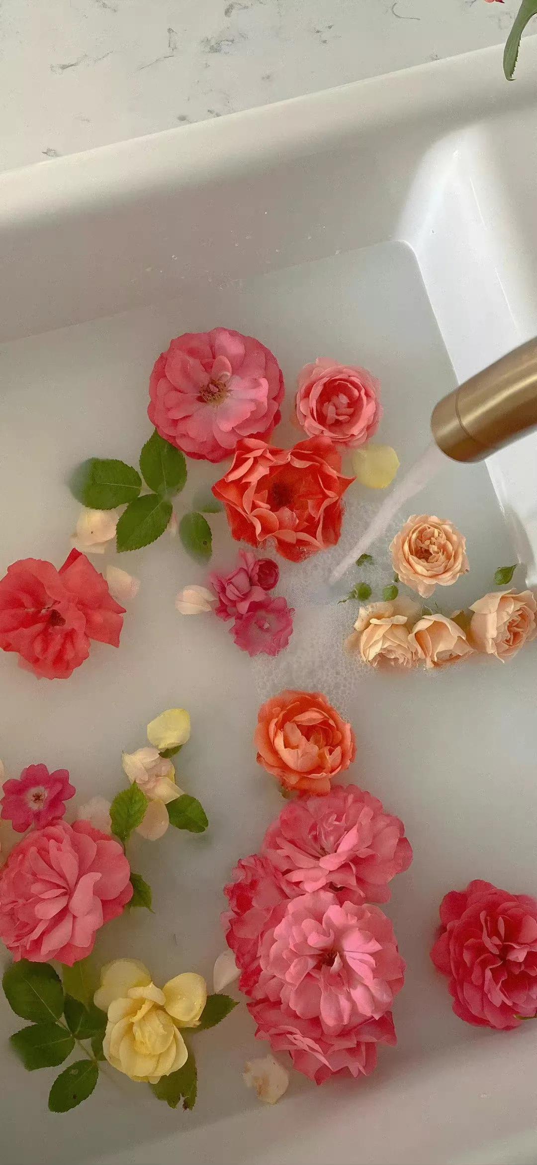 名人名言名句~④