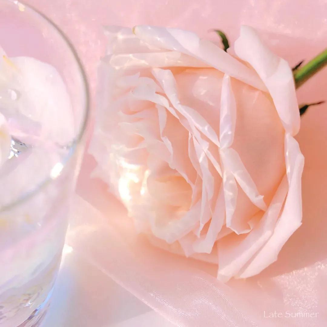 疯狂心动！100句适合情人节发的文案，文艺高级浪漫脱俗