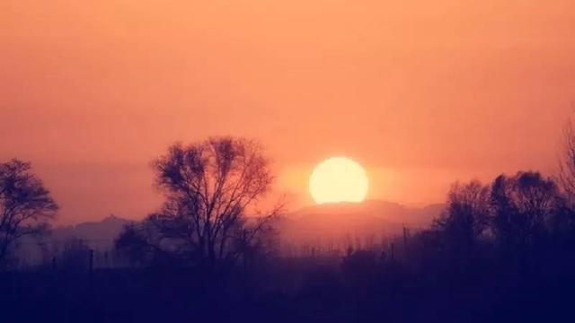 残阳西入崦（诗句出处和全诗赏析）