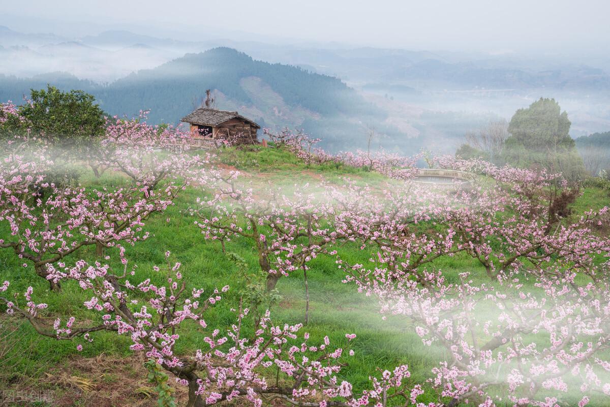 桃花溪 张旭（原文 及赏析）