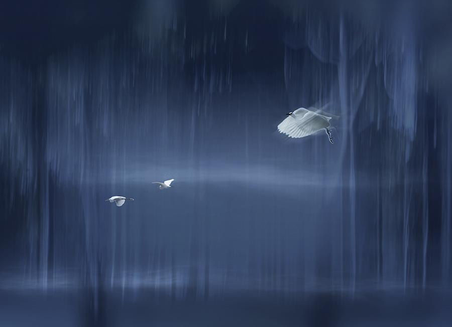 良宵谁与共（诗句出处和全诗赏析）