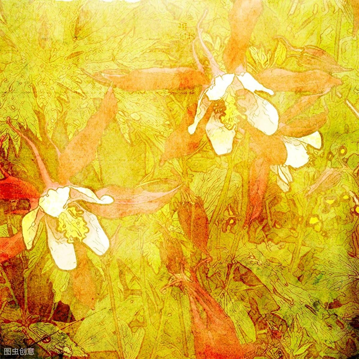 夜上受降城闻笛（原文 及赏析）