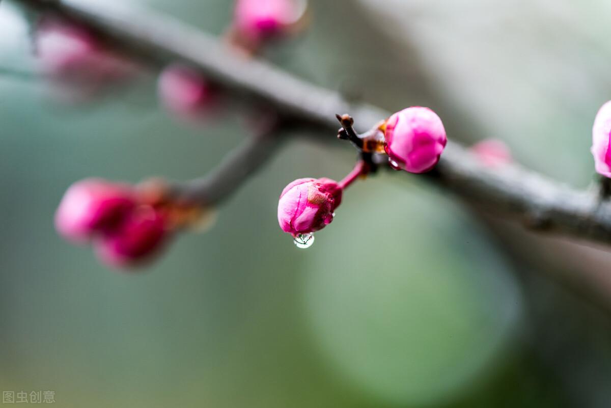 点绛唇汪藻（原文 翻译及赏析）