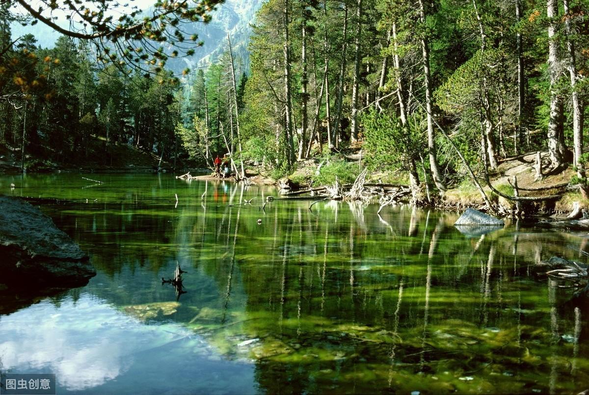 蓬门今始为君开（诗句出处和全诗赏析）