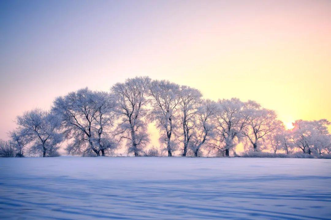 雪花的诗句（36首冬雪诗词，不自觉地赞美雪）