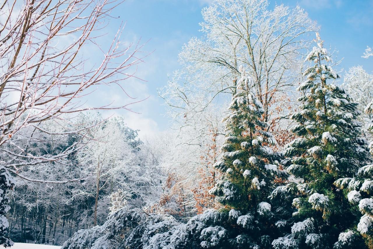 咏雪的古诗文（16首经典咏雪诗词，冬如画，雪如诗）