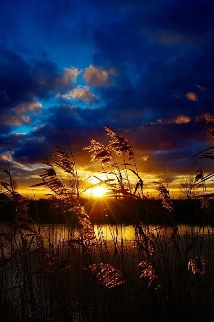 思念家乡亲人的诗句（10首思乡的诗词，让人怎能不思乡）