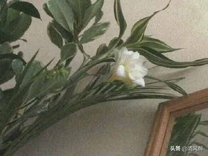 激励初三学生拼搏的话，初三拼搏的励志文案15句