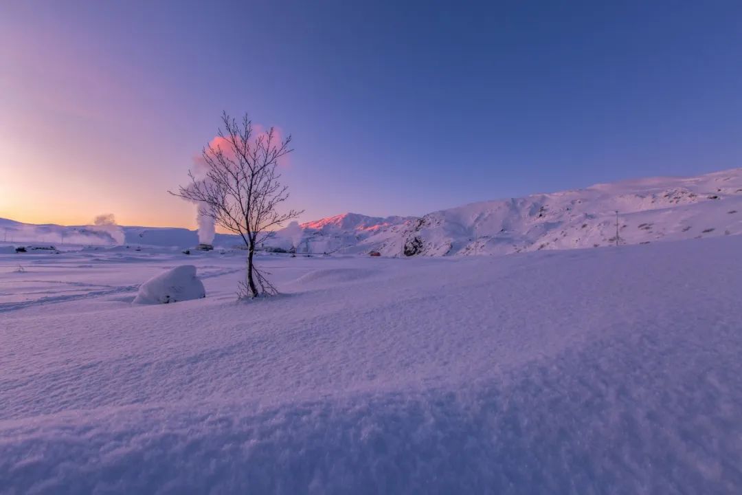 雪花的诗句（36首冬雪诗词，不自觉地赞美雪）