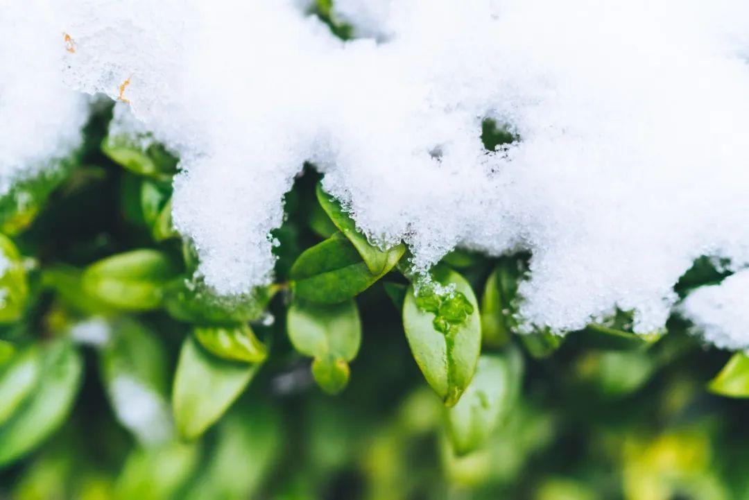 与雪有关的诗句（36首冬雪诗词，感受冬日的雪）