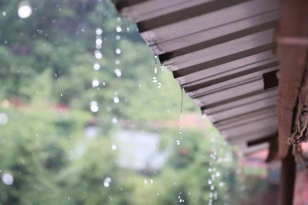 关于秋雨的诗句（35句诗词，带你看尽秋雨之美）