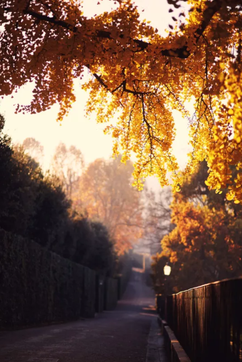 思念家乡亲人的诗句（10首思乡的诗词，让人怎能不思乡）