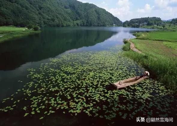 描写自然风光的诗句（10首最美山水田园诗，花香怡人）