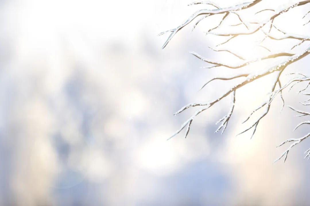 形容雪的诗句（36首冬雪诗词，带你感受冬日的雪）