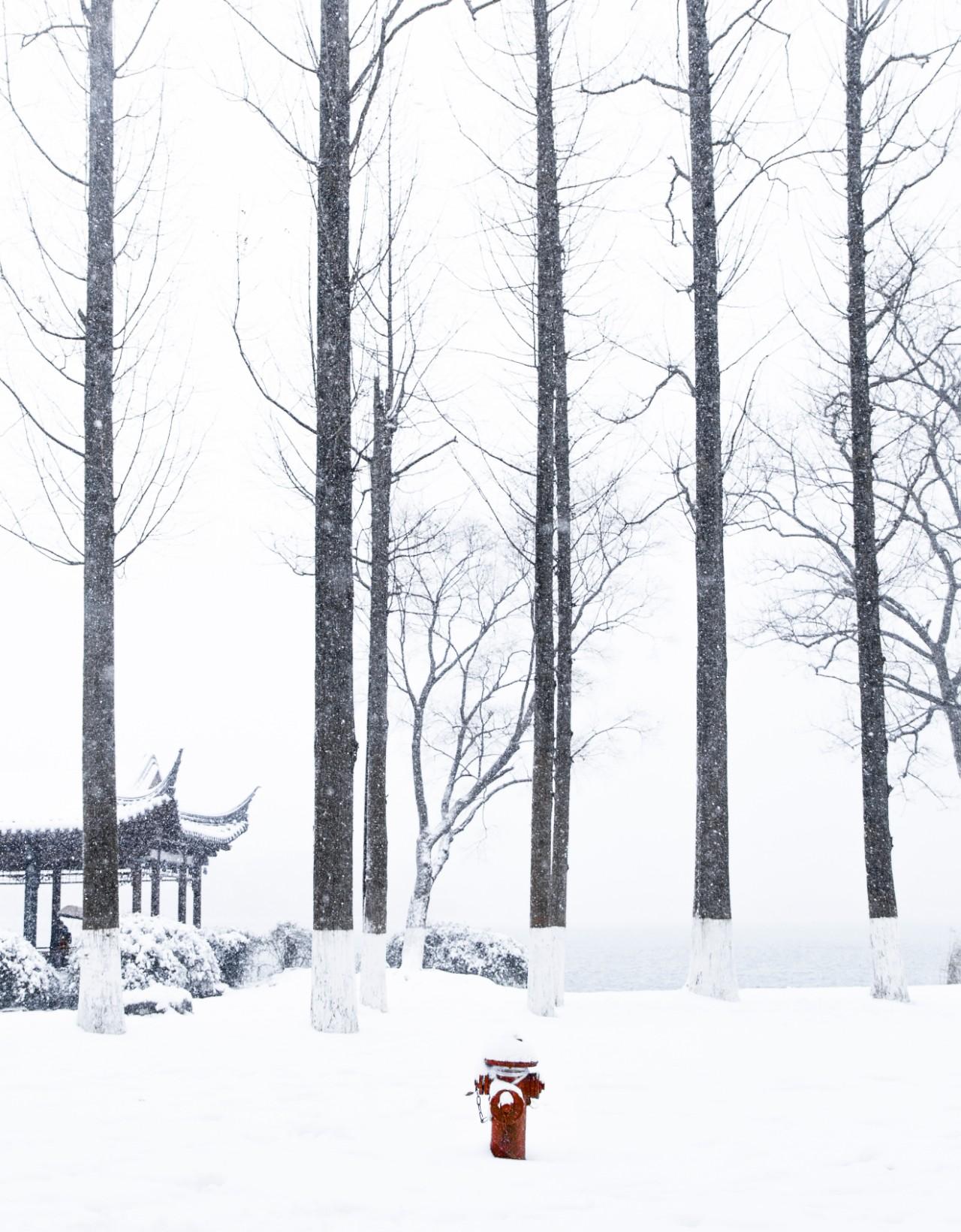 咏雪的古诗文（16首经典咏雪诗词，冬如画，雪如诗）