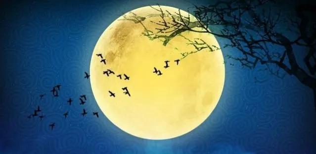 有关月的诗句（关于月的诗词50句）