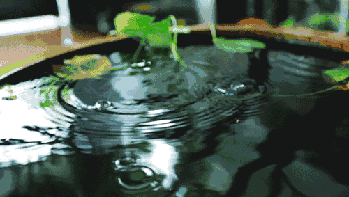 写雨的诗句（12款诗词中的雨，你更倾心哪一种）