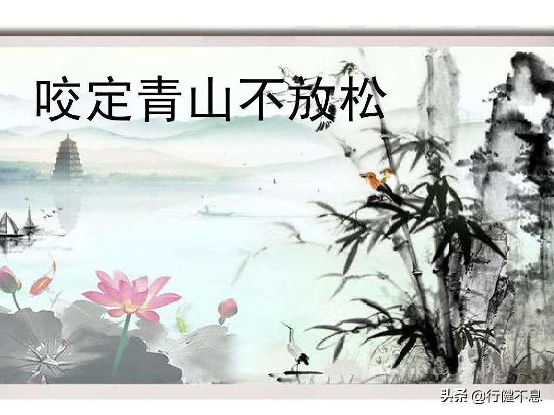 关于竹子的古诗（十二首著名的竹子诗词，展现翠竹情怀）