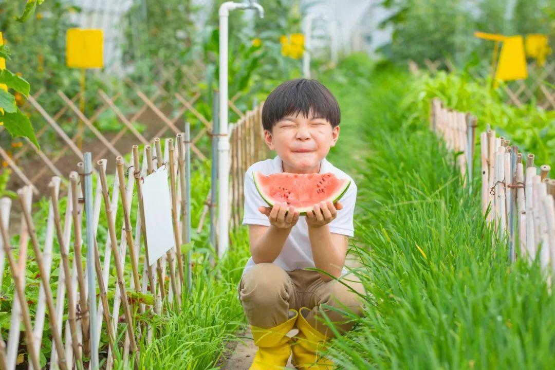 有关夏天的古诗（读这五首诗词，一定会爱上夏天）