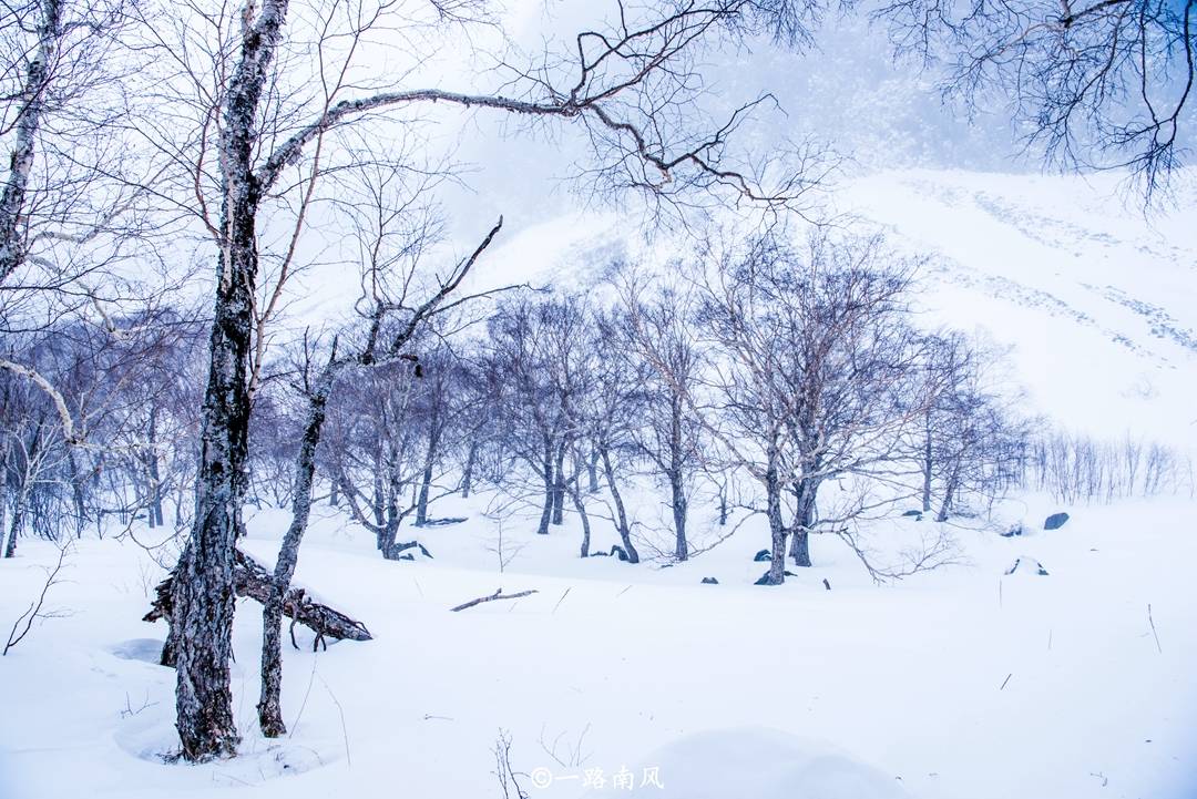 初雪的诗句（十五首关于初雪的古诗词，为怜初雪漫题诗）