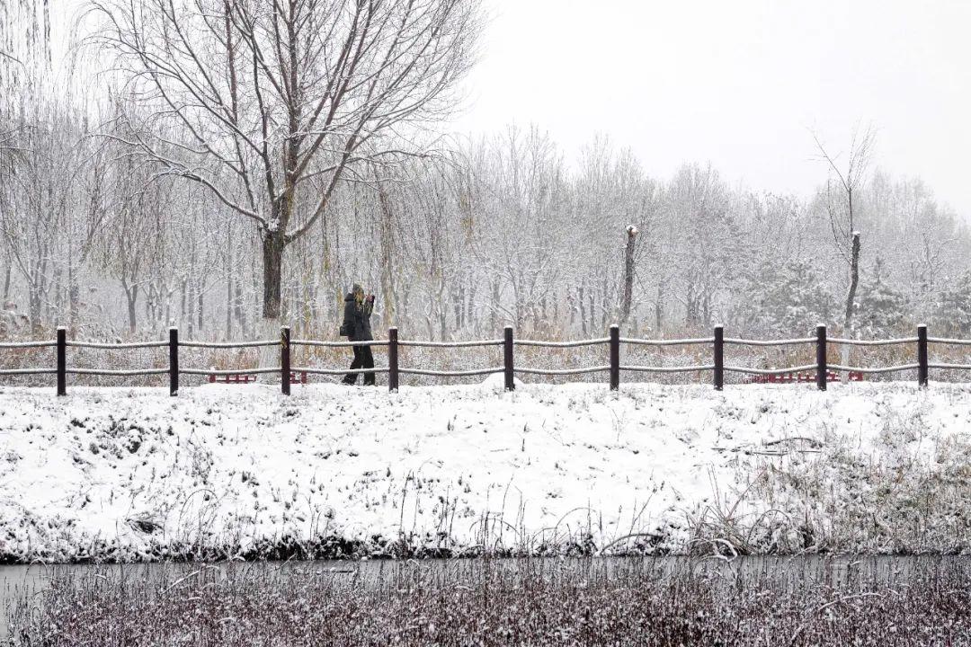 关于雪的诗词（写雪最美的10首诗词，美到灵魂里）