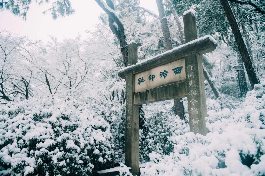 形容雪的诗句（36首冬雪诗词，带你感受冬日的雪）