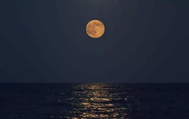 有关月的诗句（关于月的诗词50句）