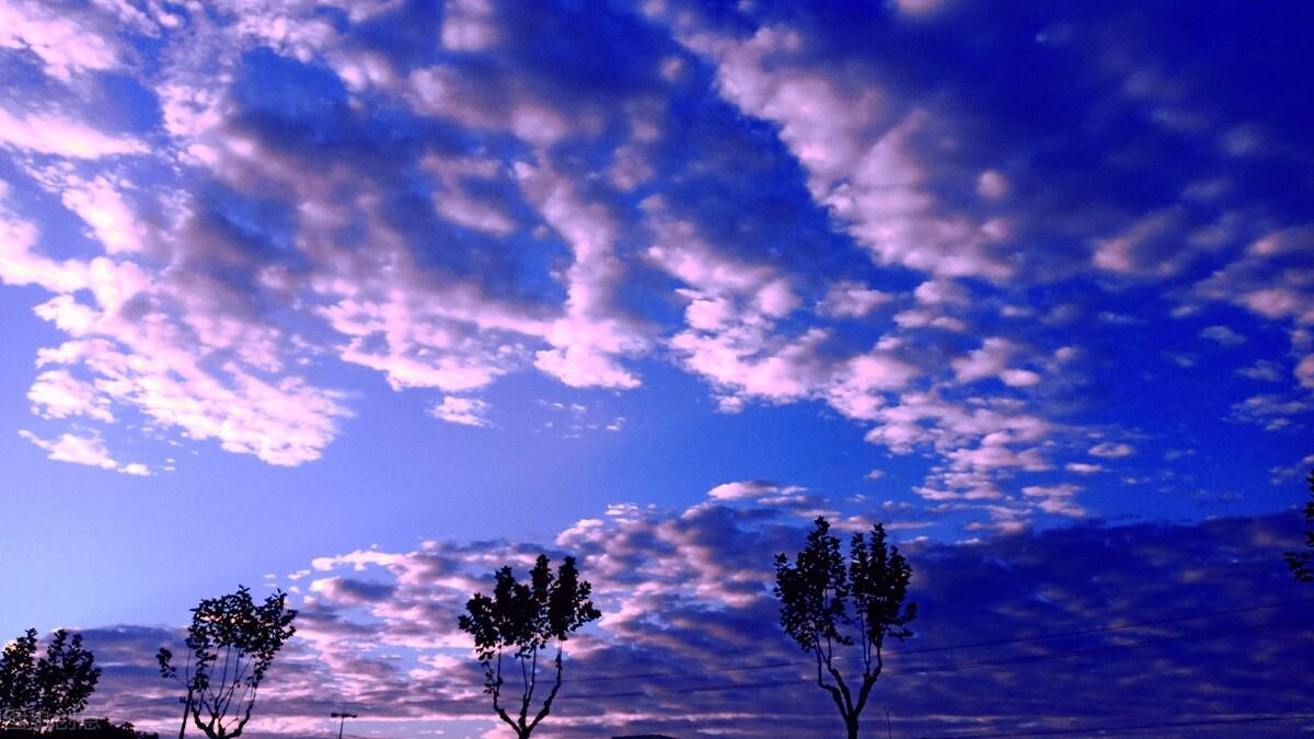 描写心情好的句子20句，心态阳光，简洁干净