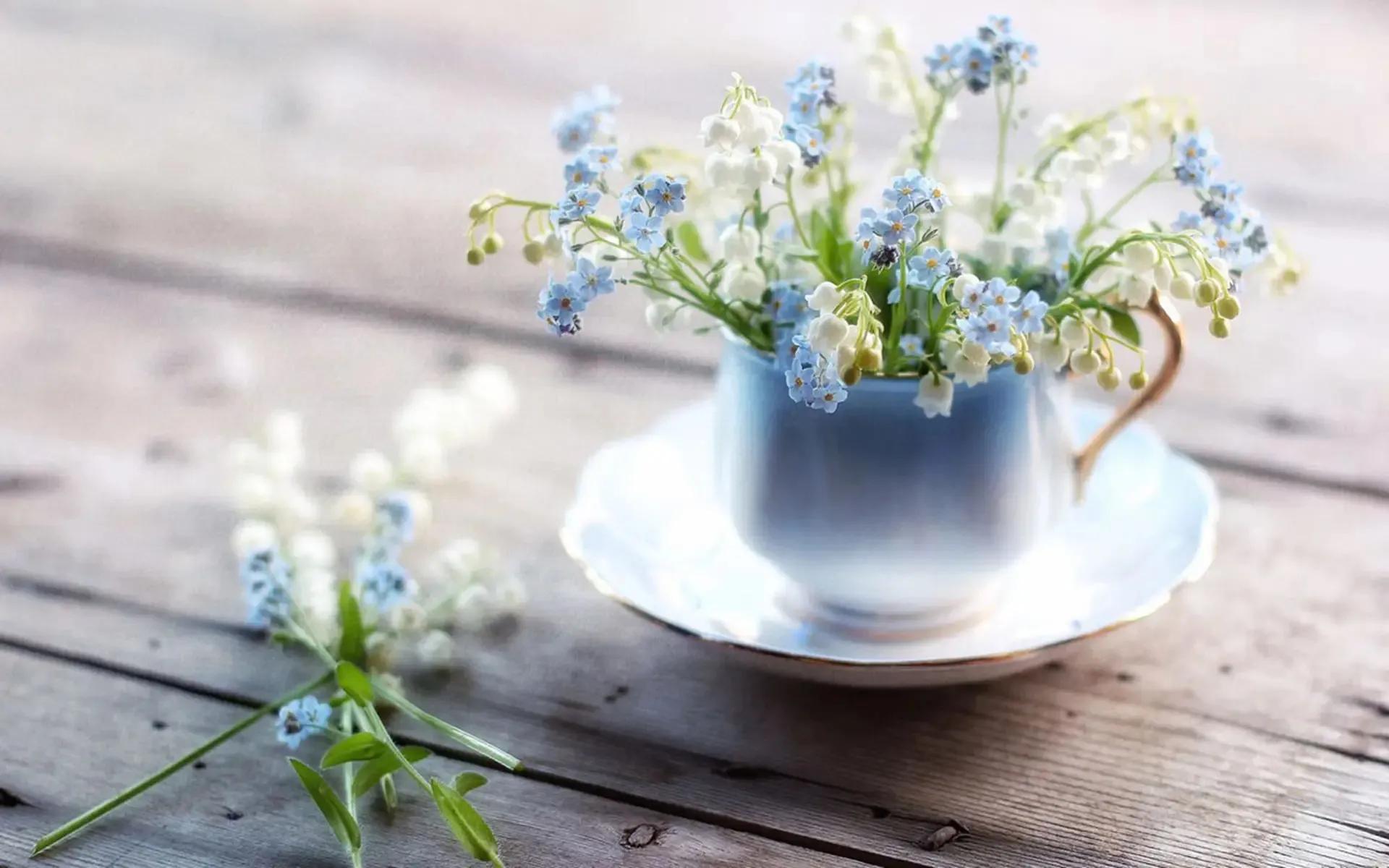 关于冬天的句子12句，句子很短，却温暖整个冬天