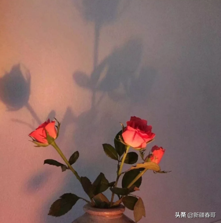 老公生日祝福短信，老公生日祝福语幽默精选50则