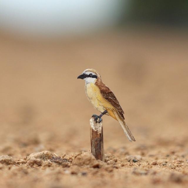 幽默风趣的句子21句，搞笑俏皮，句句乐翻天！