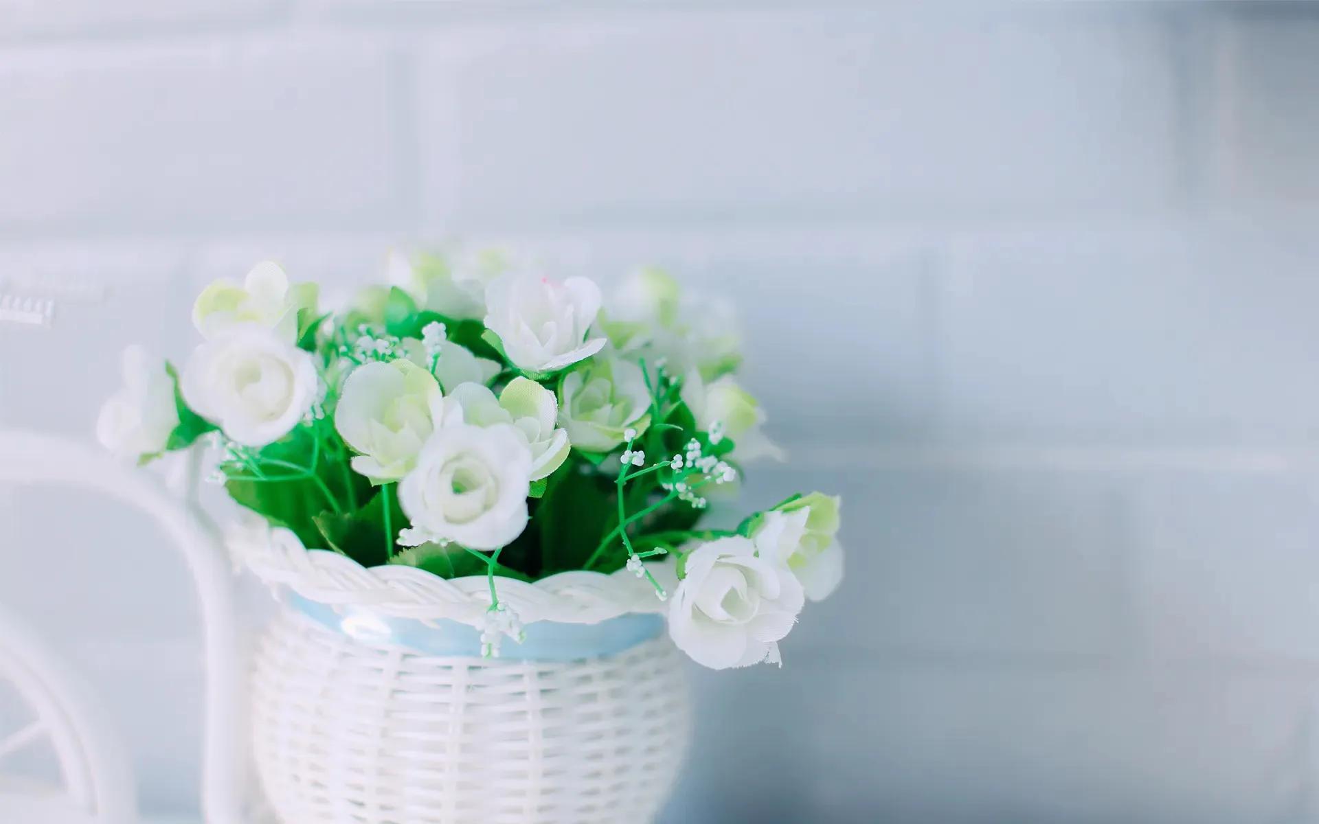 关于冬天的句子12句，句子很短，却温暖整个冬天