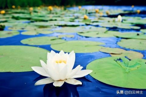 六根清净的解析，六根清净到底是哪六根