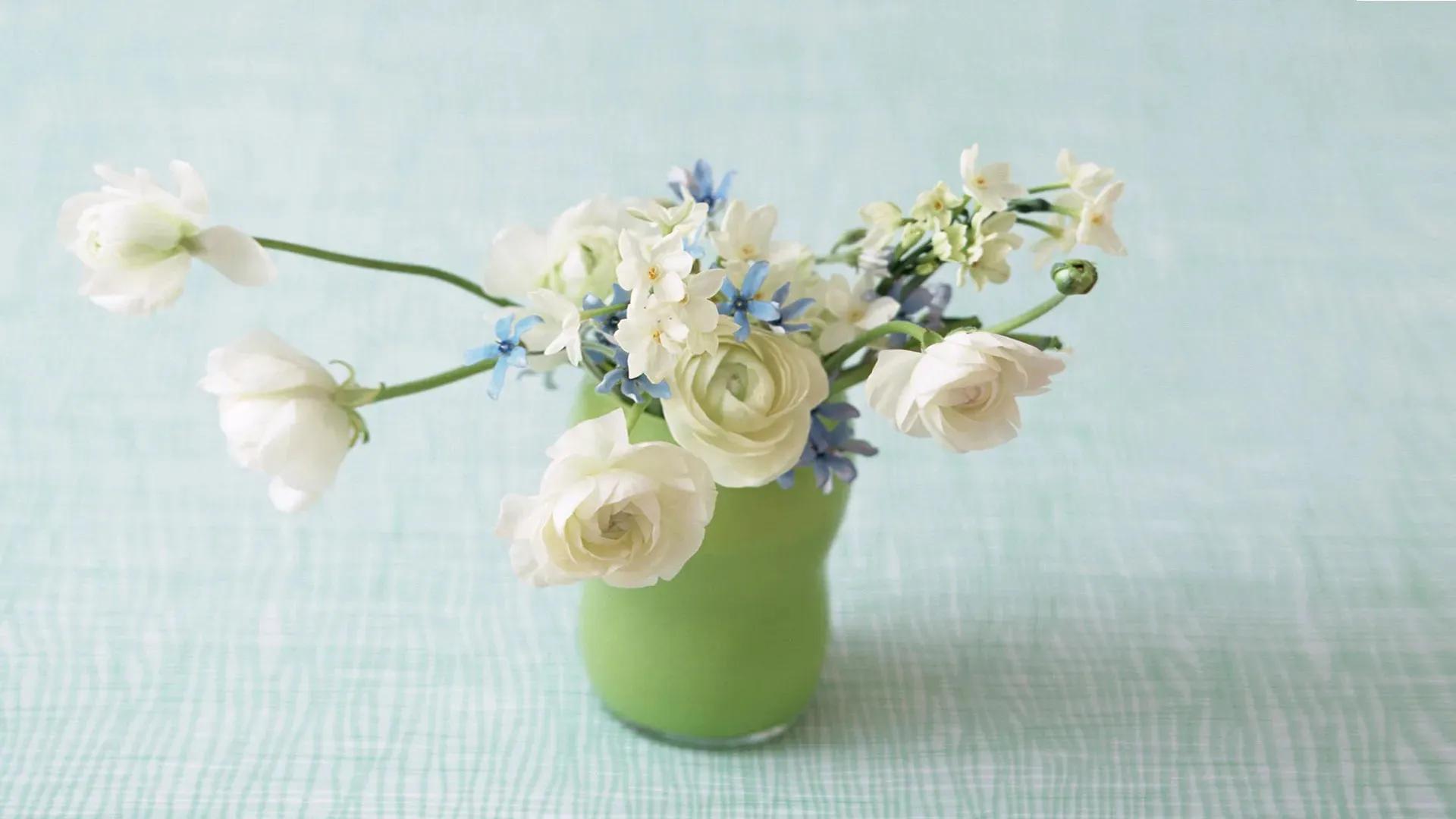 关于冬天的句子12句，句子很短，却温暖整个冬天