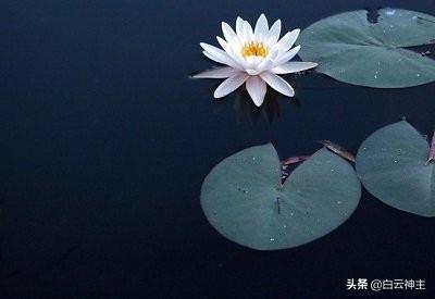 六根清净的解析，六根清净到底是哪六根