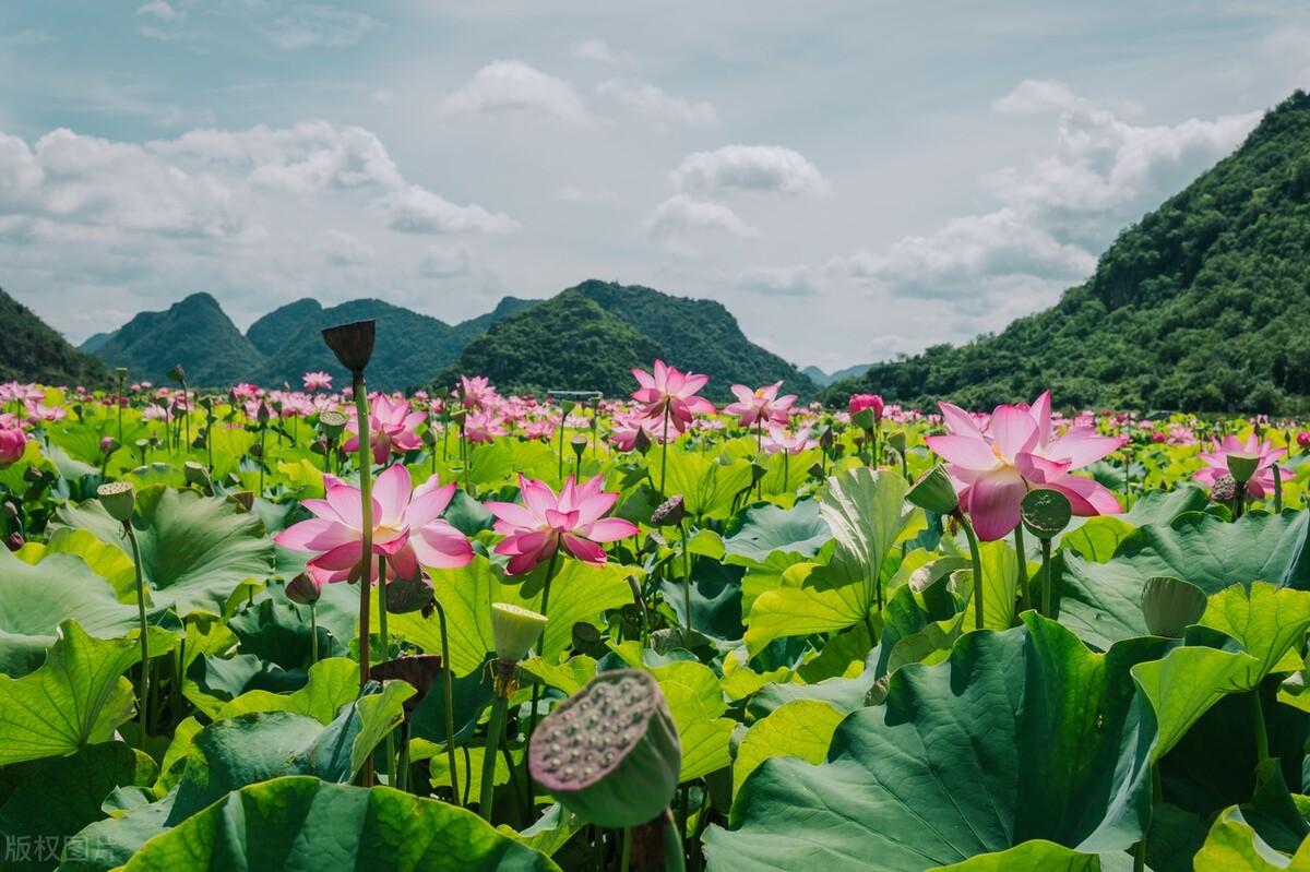 感恩简短的十句话，带来积极正能量