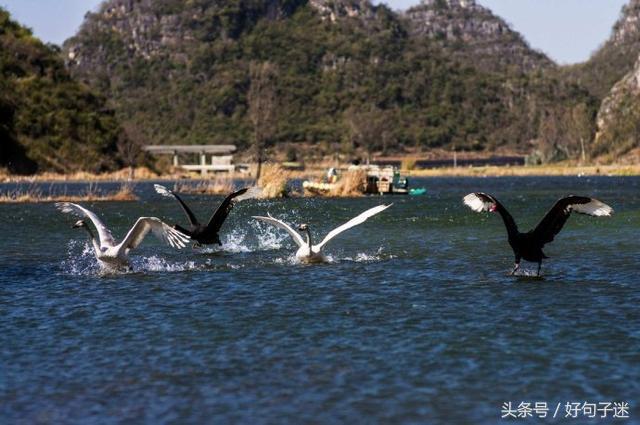 对爸爸说的话20句，句句写进心窝里
