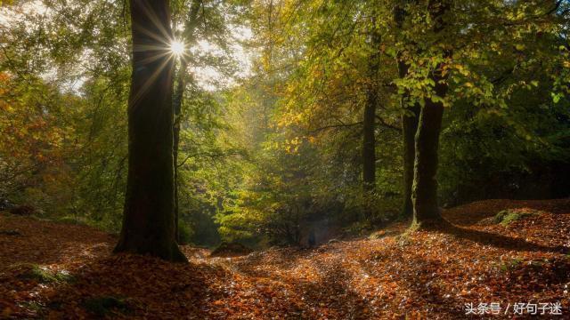 爱因斯坦的名言20句，带你领略大智慧