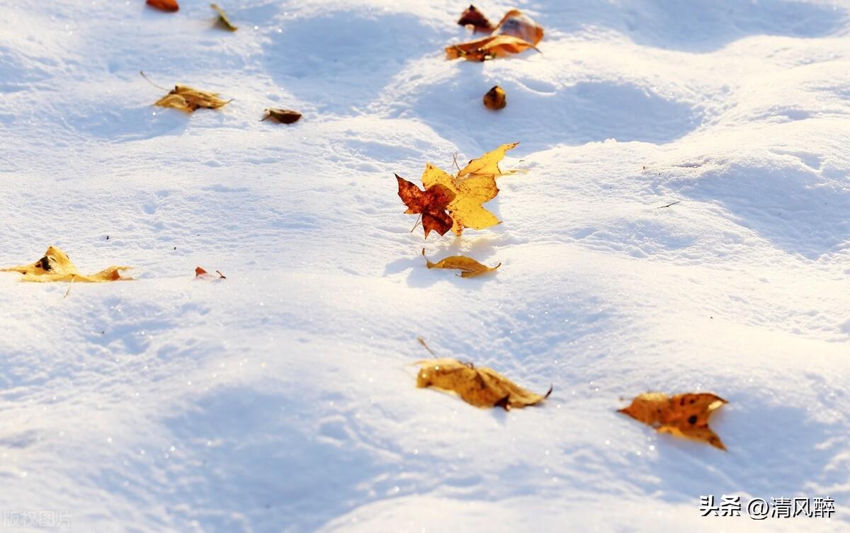 下雪发朋友圈短句15句，落雪为念，流年无恙