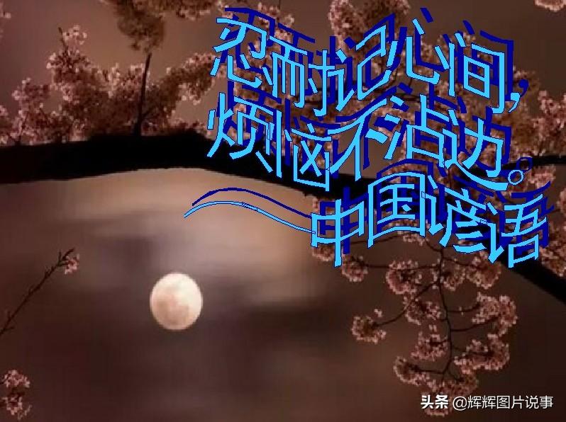 关于宽容的名人名言